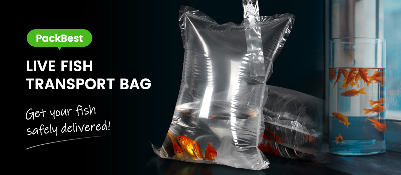 Sustainable Solution For Live Fish Transport Bag