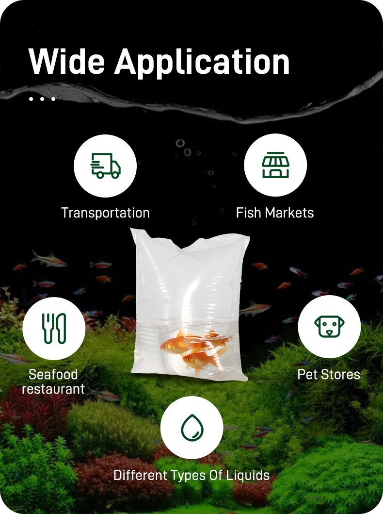 Fish shipping bag application