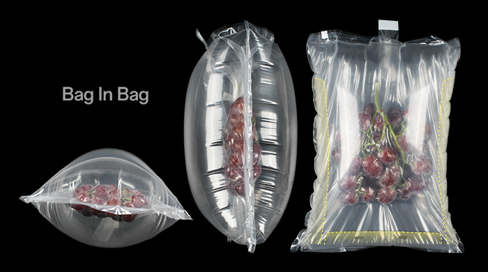 Bag in bag